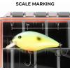 image:imageKastKing HyperSeal Waterproof Tackle Box Waterproof 3600 and 3700 Tackle Trays Fishing Tackle Box Organizer with Removable Dividers Lure Box and Terminal Tackle Storage37001 Pack with compartment