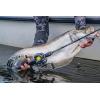 image:imageKastKing Kestrel Elite Baitcasting Fishing Reel Finesse Baitcaster Lightest Easily Cast Lures Down to 132 oz 111 Double Shielded BB Available in 841 and 751 Gear RatiosKestrel Elite 44oz Left 841
