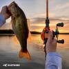 image:imageKastKing Lethal Blaze Baitcasting Fishing Reel 731 HighSpeed Gear Ratio LowProfile Baitcaster Lightweight Glass FiberInfused Nylon Frame Freshwater amp Inshore Bass Fishing ReelLeft Shiny Orange 731