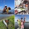 image:imageKastKing Lethal Blaze Twintip Fishing Rod and Reel Combo Spinning amp Baitcaster Combo Flame Pattern Design IM6 Graphite 2Pc Rod with Backup Tip Section StainlessSteel Guides EVA HandleCast74 Hleft Handed 2pcs Extra Tip
