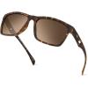 Frame: Matte Demi /Lens: Brown