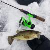 image:imageKastKing Zephyr Spinning Reels  7161 BB  Carbon Fiber Drag  Stainless Steel Shaft  Aluminum amp CNC Spool  BlackGreenOrange  Sizes 5001000 SFS  ICE Fishing Ready ReelsStandardGreen