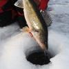 image:imageKastKing Zephyr Spinning Reels  7161 BB  Carbon Fiber Drag  Stainless Steel Shaft  Aluminum amp CNC Spool  BlackGreenOrange  Sizes 5001000 SFS  ICE Fishing Ready ReelsStandardBlack