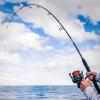 image:imageKastKing KONG Fishing Rod Powerful Lightweight SCurve Graphite Rod Blanks Nano Resin Technology StainlessSteel DoubleFoot Guides wTitanium Oxide Rings NonSlip Handles Chartreuse Strike Tips100mhfast2pcs