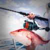 image:imageKastKing KONG Fishing Rod Powerful Lightweight SCurve Graphite Rod Blanks Nano Resin Technology StainlessSteel DoubleFoot Guides wTitanium Oxide Rings NonSlip Handles Chartreuse Strike Tips80mfast2pcs