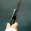 image:imageKastKing Royale Advantage Fishing Rod Spinning Rod amp Casting Rod IM6 Graphite Blanks 2Pieces Rods with Extra Tip SectionKastFlex Technology Power Transition System EVA Handle610 MH Fast 2pcs Extra Tip