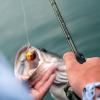 image:imageKastKing Spartacus II Fishing Rods  IM6 Graphite Blanks Casting amp Spinning Rods 2Piece Rods with Extra Tip Section PTS Power Transition System KastFlex Technology Rubber Cork HandleSpin Stryker Green