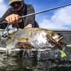 image:imageKastKing Destron Essential Monofilament Fishing Line Advanced Polymer Coating for High Abrasion Resistance Super Smooth High Strength Low Memory Mono Line Fresh and Saltwater FishingChaos Camo