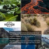 image:imageKastKing Sol Armis UPF 50 Boonie Hat  Sun Protection Hat Fishing Hat Beach amp Hiking Hat PaddlingK Calypso